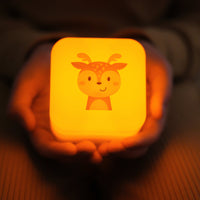 Cube B™ - Finley Fawn