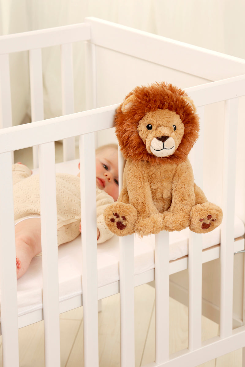 Louis el León  Smart Sensor