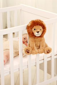 Louis el León  Smart Sensor