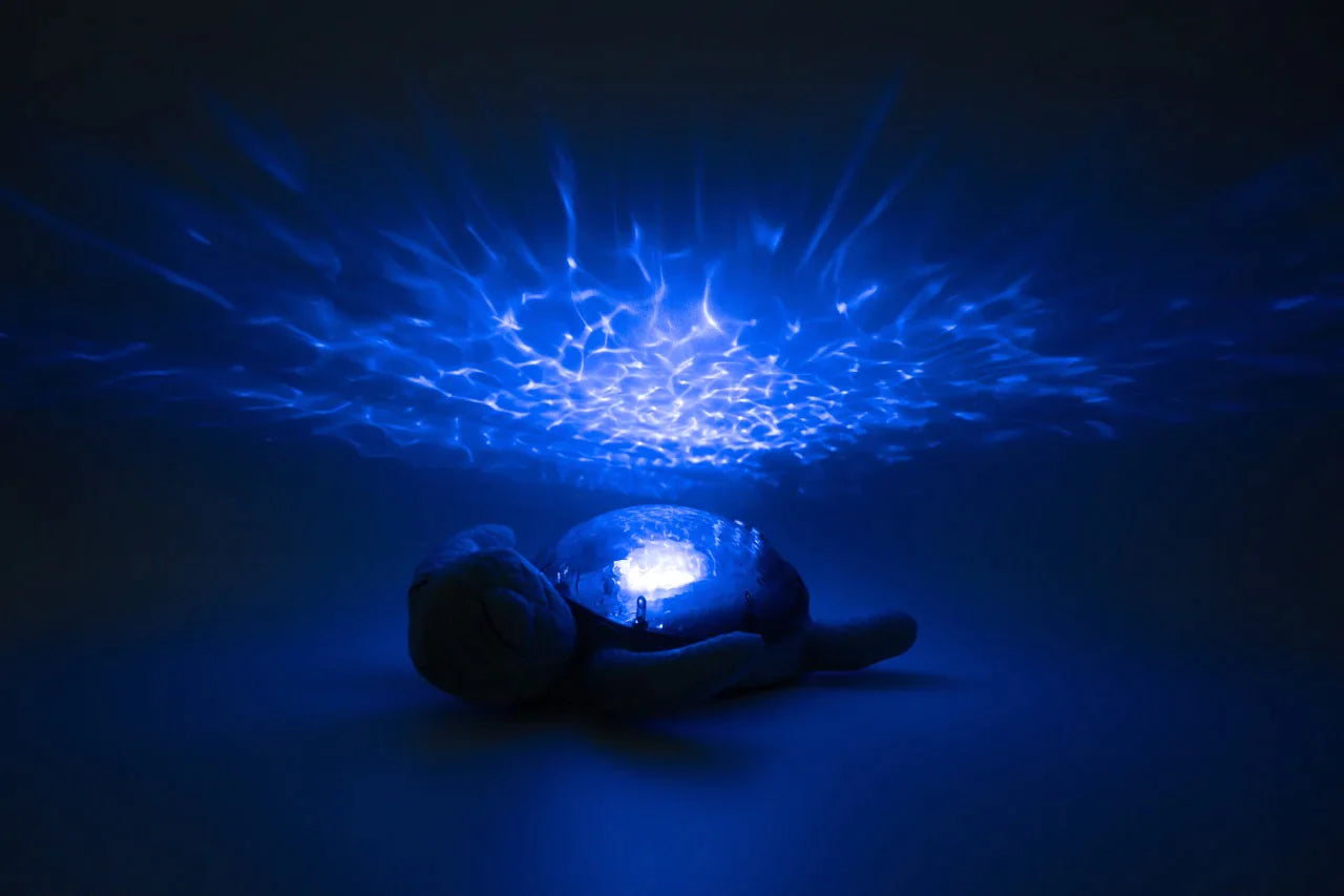 Tranquil Turtle  Projector Nightlight with White Noise Soothing Sounds –  cloud.b
