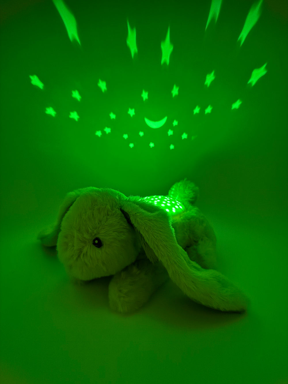 Dream Buddies™ - Bunny